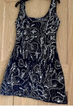 tulle velvet dress